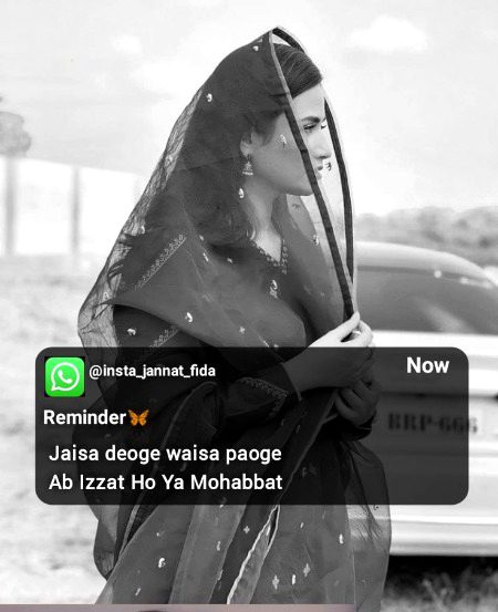 Life Advice image