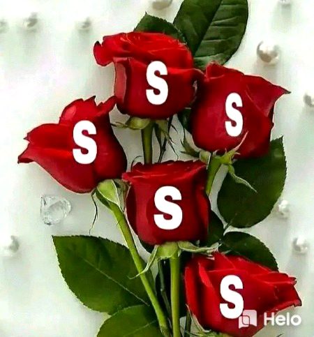 Saanaam ❣️❣️ only
