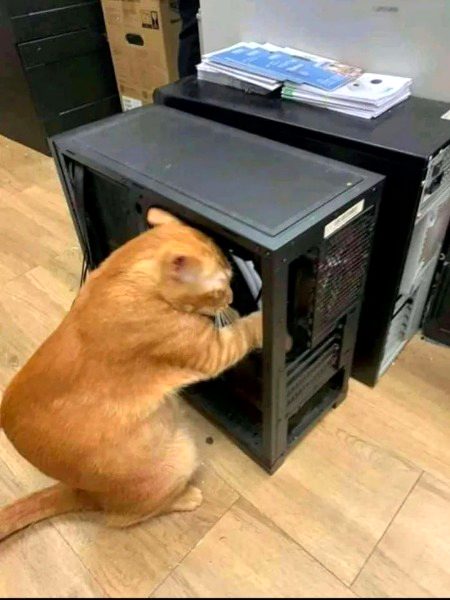 Technician working on a Pc