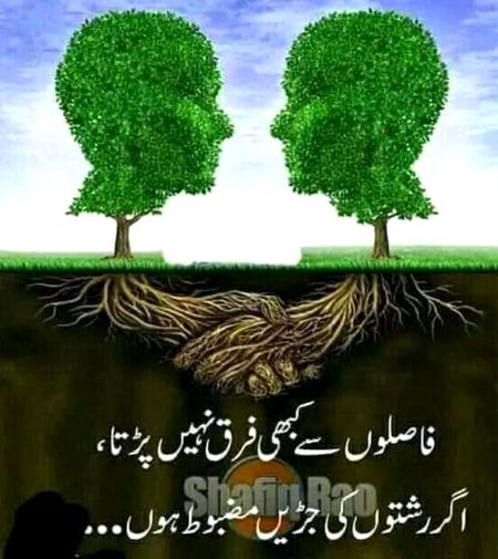 میں نے ایک چھت کے نیچے دو فریق میں میلوں کا فاصلہ دیکھا ھے