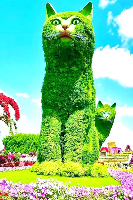 Miracle Garden at Dubai