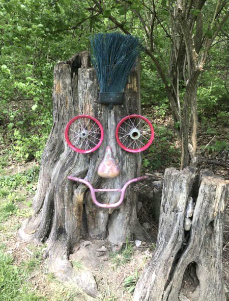 Beautiful Nature image