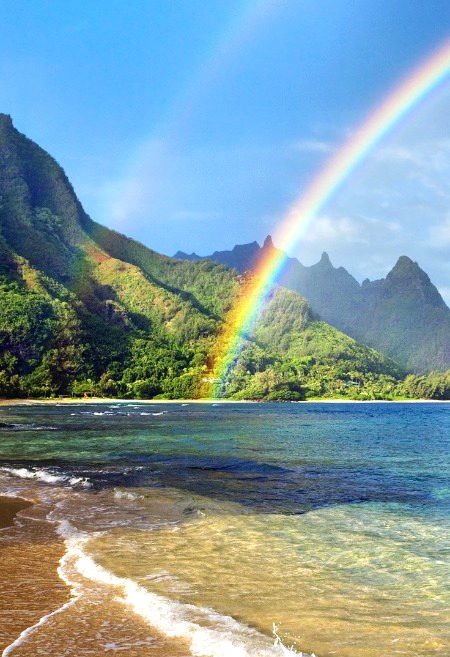Beautiful Nature image