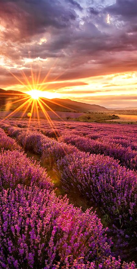 Beautiful Nature image