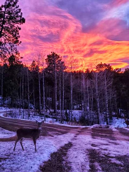 Beautiful Nature image