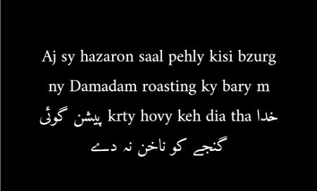 Damadam Roasting image