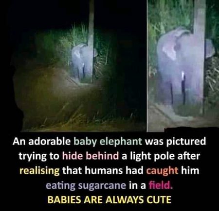 Interesting Posts image