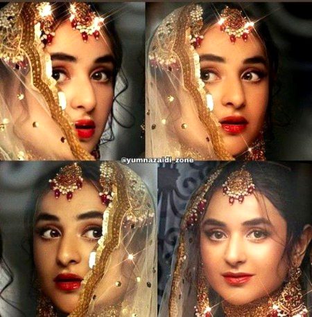 Pakistani Celebs image