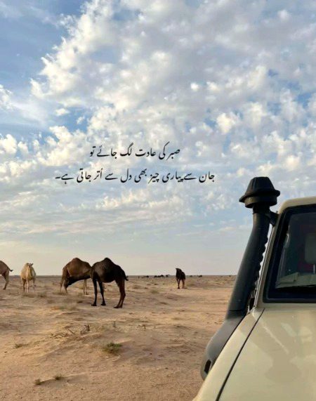 اے شبِ غم ہمیں رونے کی اجازت دے دے
خواب آنکھوں میں پرونے کی اجازت دے دے
یا سلیقے سے نبھا رسمِ محبت مجھ سے 
یا کسی اور کا ہونے کی اجازت  دے دے