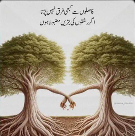 روٹھی ہوئی خاموشی سے بولتی ہوئی شکایتیں اچھی ہوتی ہیں...شکایتیں ہوں تو دل کا غبار نکل جاتا ہے...شکایتیں اگر خاموشی اختیار کر لیں...تو فاصلوں کا سبب بن جاتی ہیں...!!!!