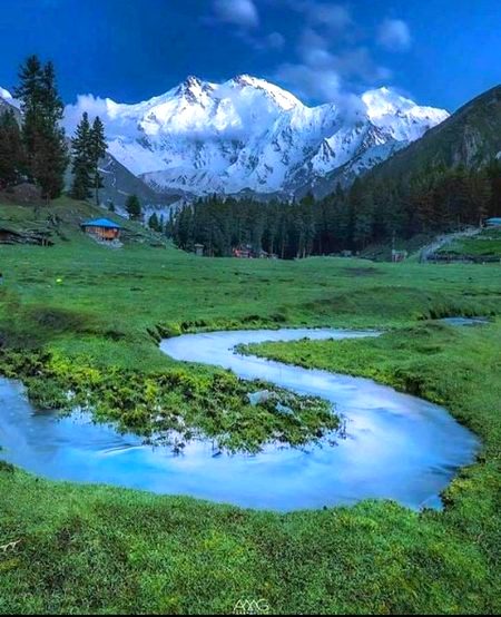 Beautiful Nature image