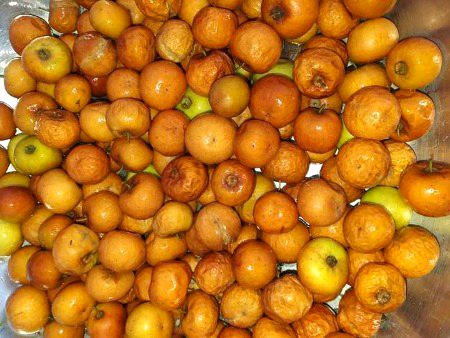 Ya Kon Kon khay ga ..