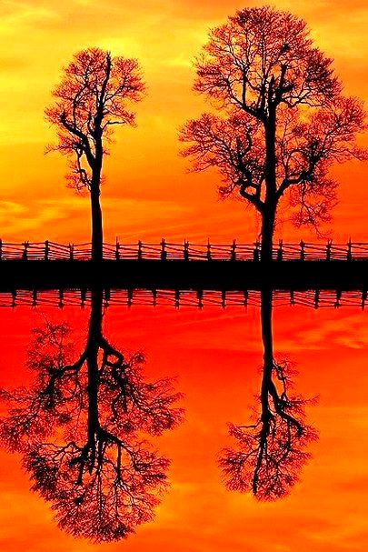 BEAUTIFUL NATURE