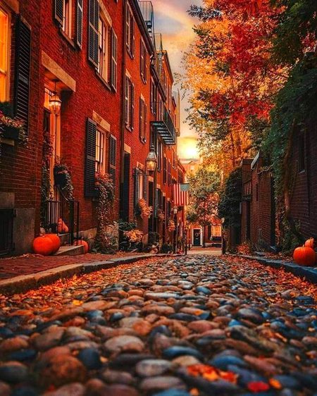 Beautiful Nature image