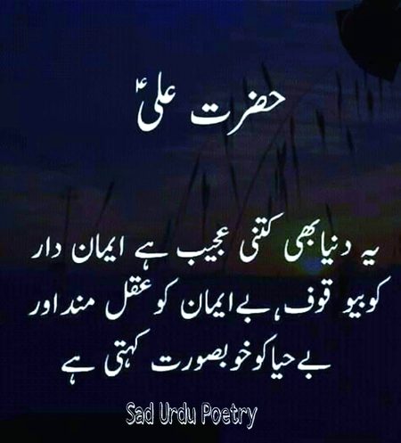 Right Ajeeb log