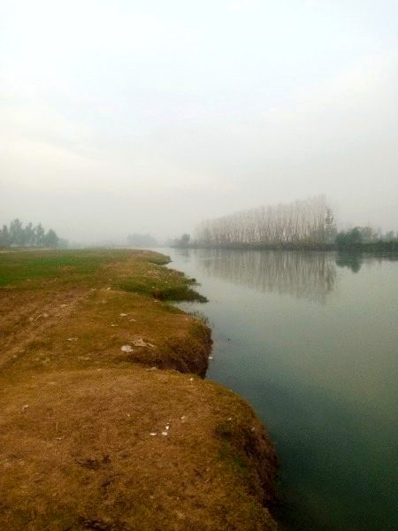 Beautiful Nature image