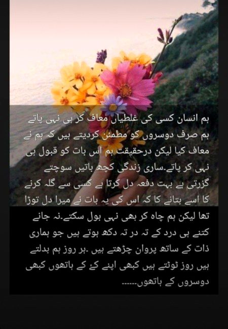 ❤💚❤💚💜❤💚