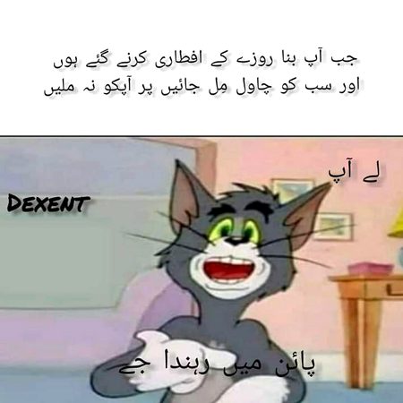 Memes & Satire image