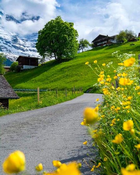 Beautiful Nature image