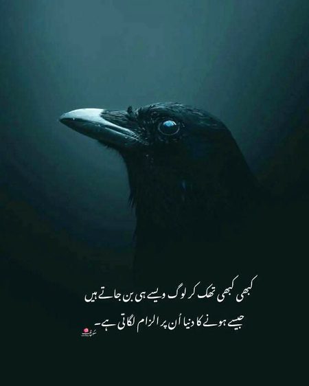 Sad Poetry image