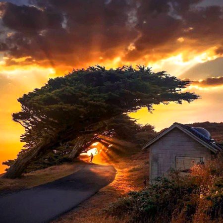 Beautiful Nature image
