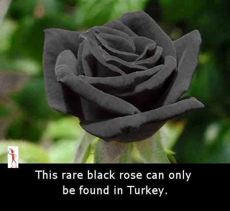 Interesting Posts image