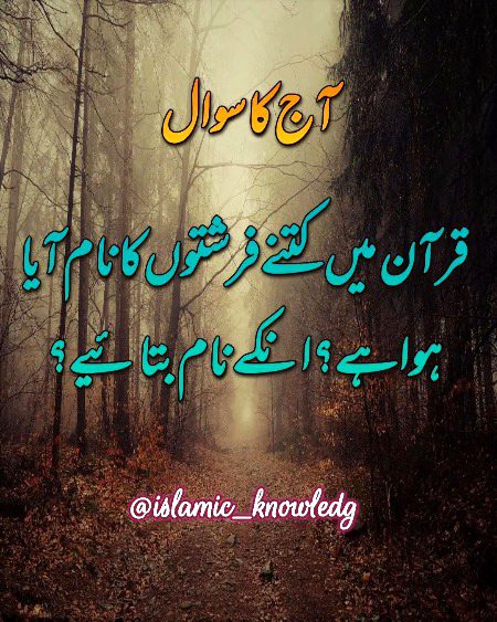 Knowledge Test image