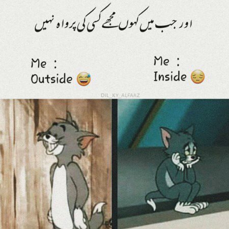 Memes & Satire image