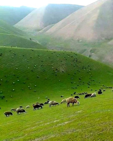 Beautiful Nature image