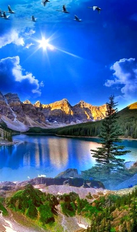 Beautiful Nature image