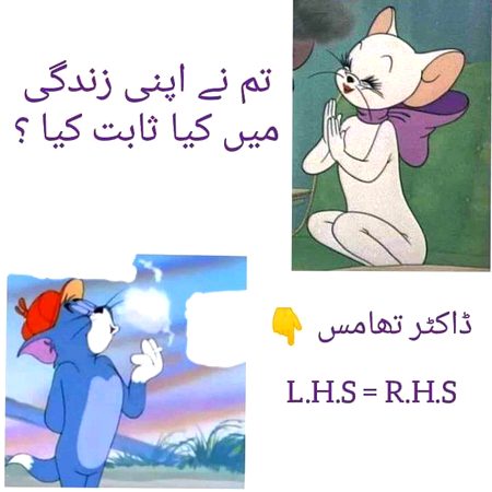 Memes & Satire image