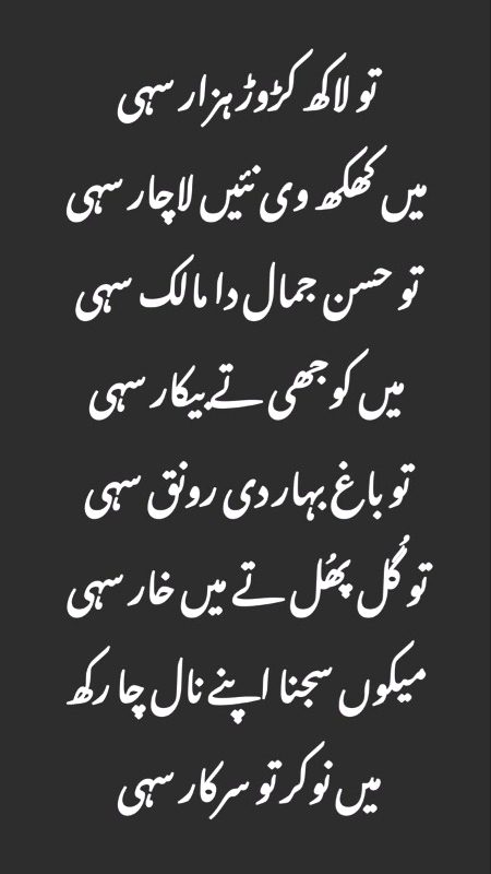 اک یار دی یاری منگئ سی اونے لاکھاں دکھ ساڈے ناں کیتے