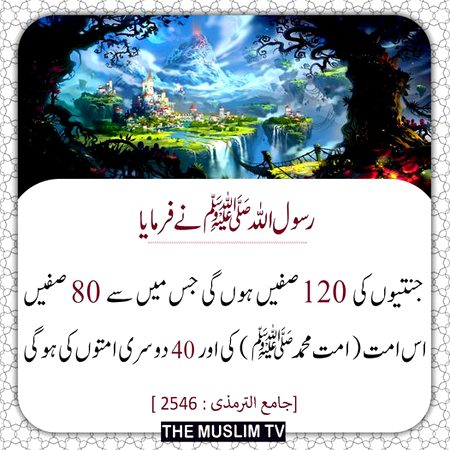 Islamic Quotes image