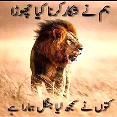 Attitude Quotes image