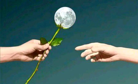 "تمہیں لوگوں میں کوئی مکمل نہیں ملے گا, لہٰذا ایسے شخص کو تلاش کرو جس کی خامیاں تمہیں تکلیف نہ دیں۔"