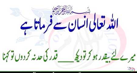 Islamic Quotes image