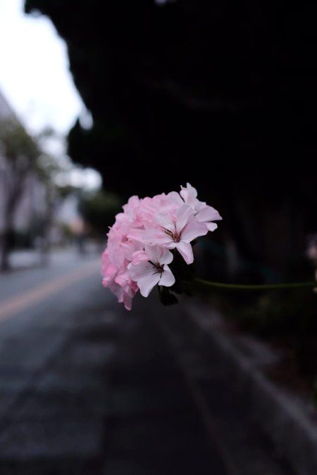 Beautiful Nature image