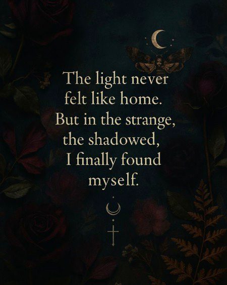 🌷🌹🪄🌕✨🍂❤️..