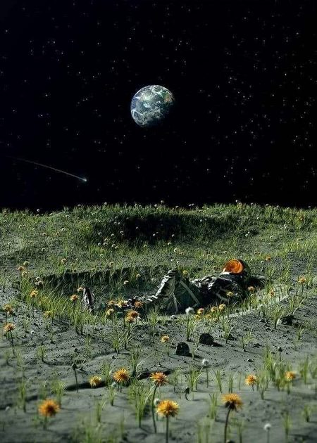 Beautiful Nature image