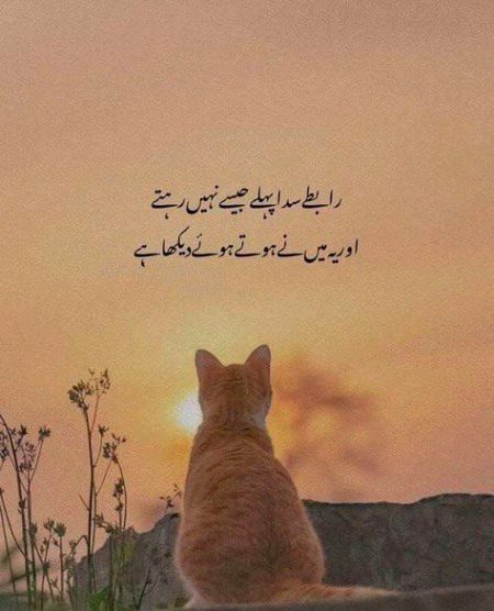 Sad Poetry image
