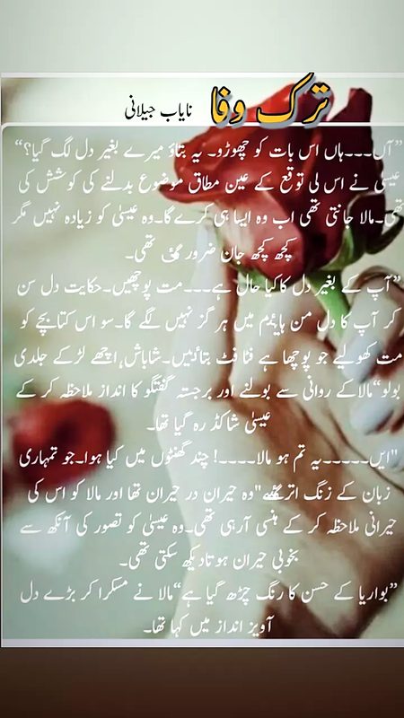 Romantic Novels image