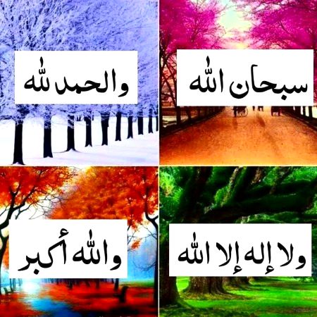 Islamic Quotes image