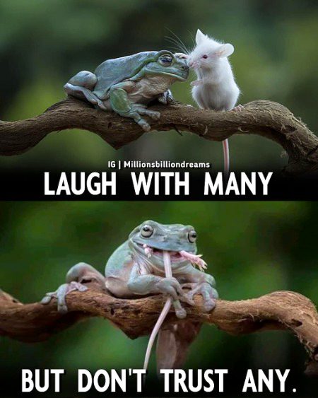 Life Advice image
