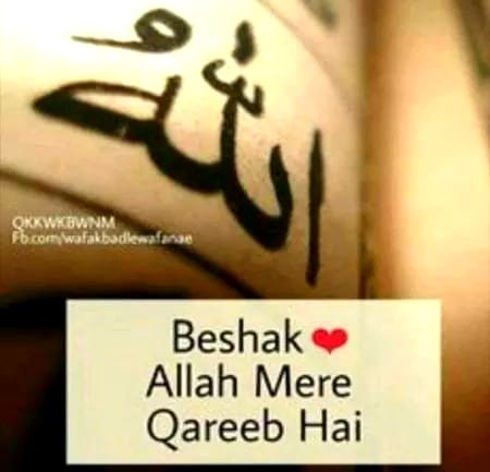 Beshkk,