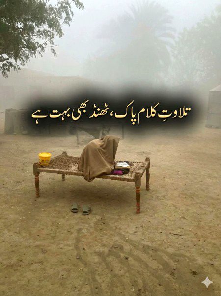 Masha Allah 😍😍