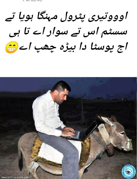 Damadam Roasting image