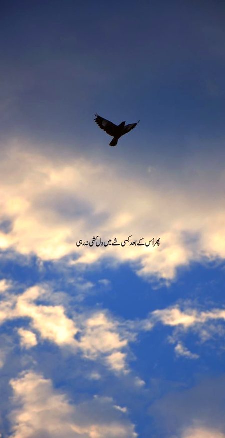اتنا دلکش ہے تصور اُسکا 
اُسکی تصویر تو فقط دلکشی ہو گی