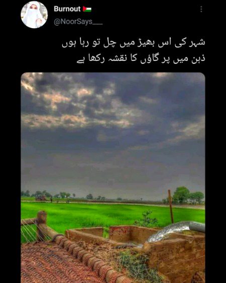 Beautiful Nature image