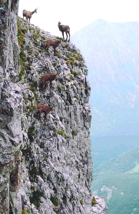 Beautiful Nature image