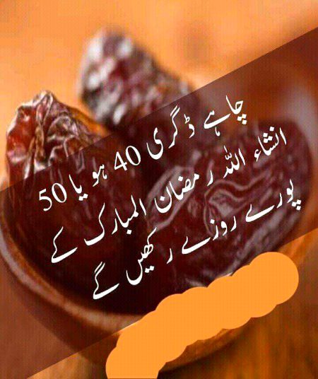 INSHAALLAH❤ Morning ❤❤
🌹Aliyan 🌷